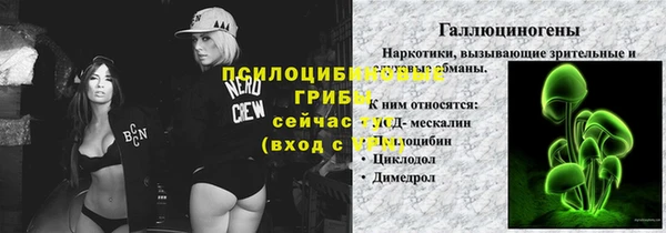 винт Няндома