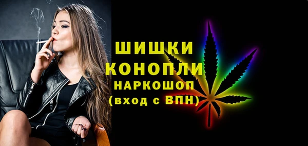 винт Няндома