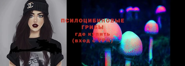 винт Няндома